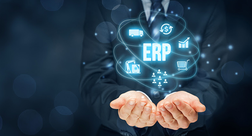 Implementace ERP a procesní analýza